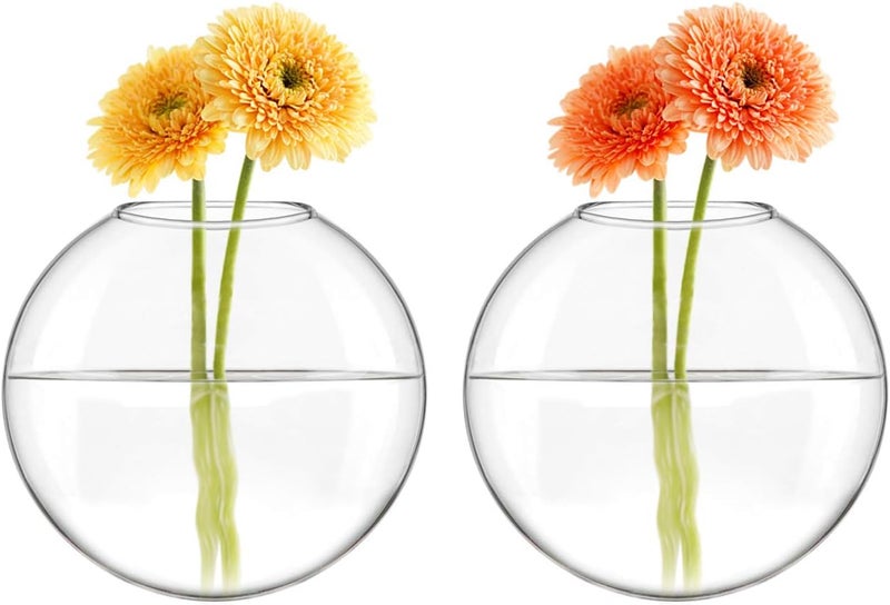 Mkono Wall Hanging Glass Terrariums Planter Oblate Flower Vase for Hydroponics Plants, Bathroom, Home Office Living Room Decor, Set of 2 - Image 4
